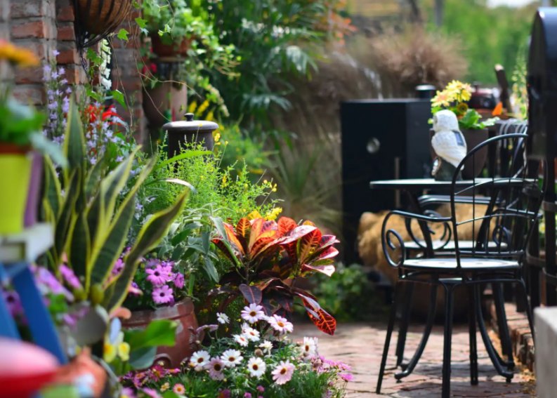 俊美琪丨做庭院的守護(hù)者，享受醉美時(shí)光！